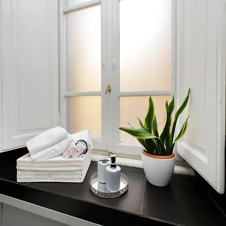 Luxury Vaticano-s'peter Basilica - Netflix Wifi - Aircond Apartment Rom